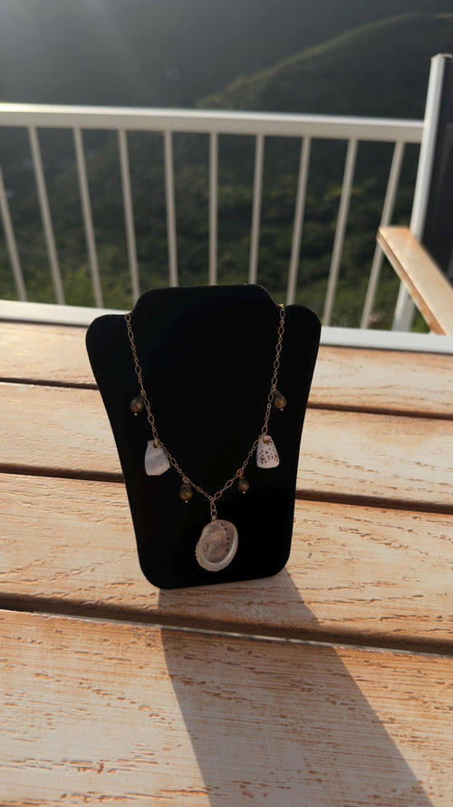 RARITIES: Abalone Charm Necklace